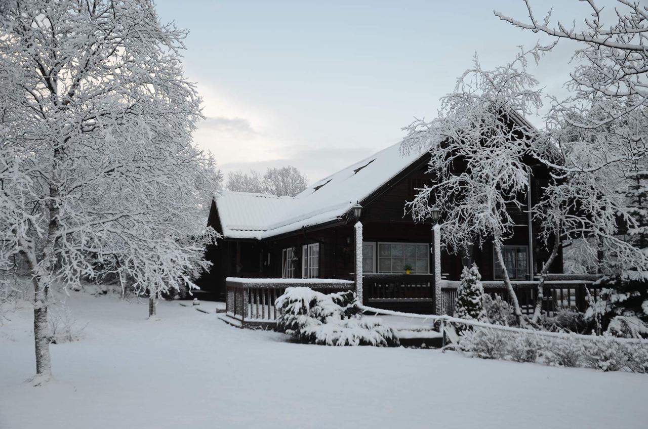 Blue Grove Guesthouse South Iceland Exterior foto